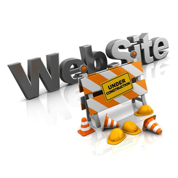 啟強(qiáng)科技*(圖)-網(wǎng)站建設(shè)多少錢(qián)-臺(tái)州網(wǎng)站建設(shè)